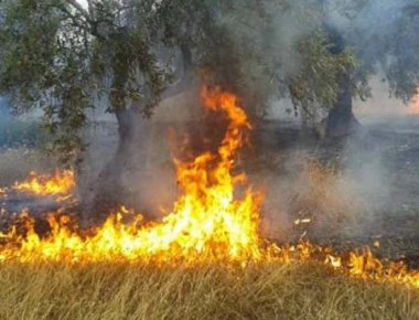 Πολιτική Προστασία: Πολύ υψηλός ο κίνδυνος πυρκαγιάς σήμερα σε αυτές τις περιοχές (φώτο)